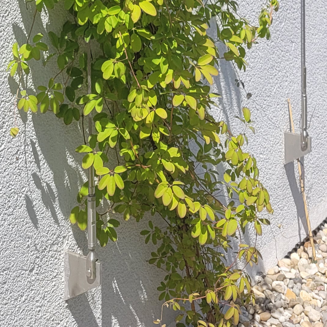 VÉGÉTALISATION - GREENCABLE - Carl Stahl CÔTÉ JARDIN