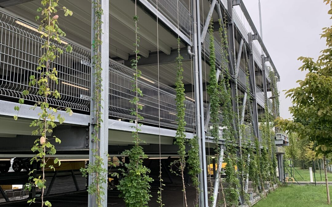 DHL Car park, Reutlingen