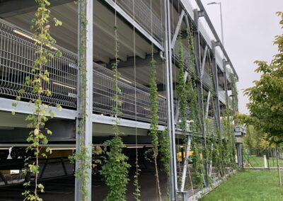 DHL Car park, Reutlingen